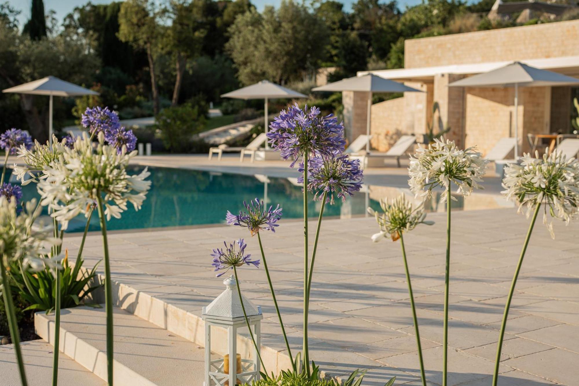 Essenza Relais Contemporaneo Bed & Breakfast Cisternino Exterior foto